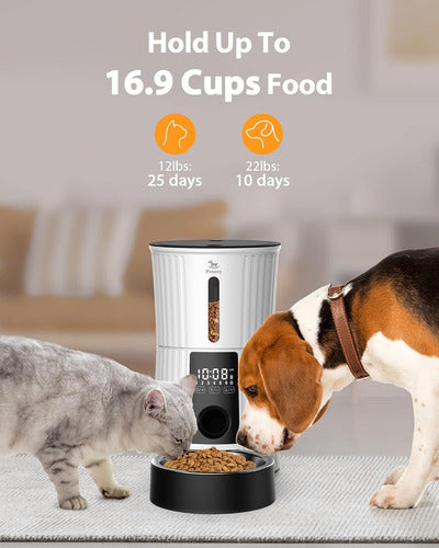 Comedero Automático Programable 4 Litros Para Gatos Y Perros 110v Blanco