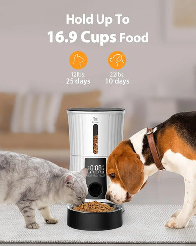 Comedero Automático Programable 4 Litros Para Gatos Y Perros 110v Blanco