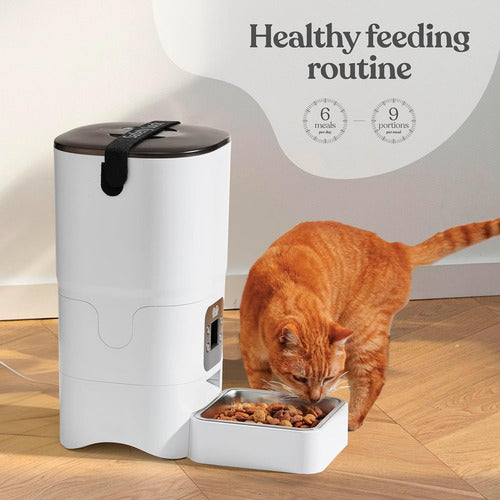 Comedero Alimentador Automatico Para Mascotas 110v Blanco