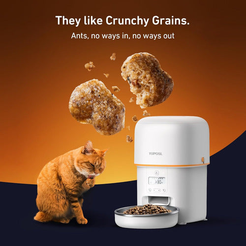 Comedero Automático Para Gatos-mascota Pequeña - Cronómetro 110v Blanco