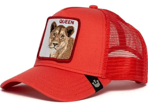 Gorra Cachucha Deportiva En Malla Gorra Beisbolera