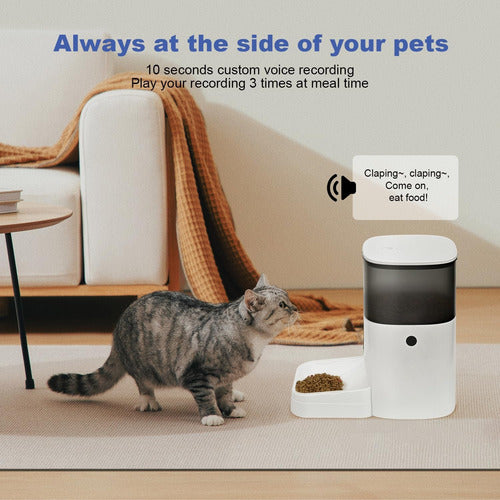 Comedero Automático Andoll Home Perros-gatos 4 Lts Graba Voz 110v Blanco