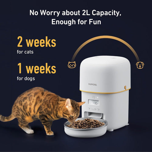 Comedero Automático Para Gatos-mascota Pequeña - Cronómetro 110v Blanco